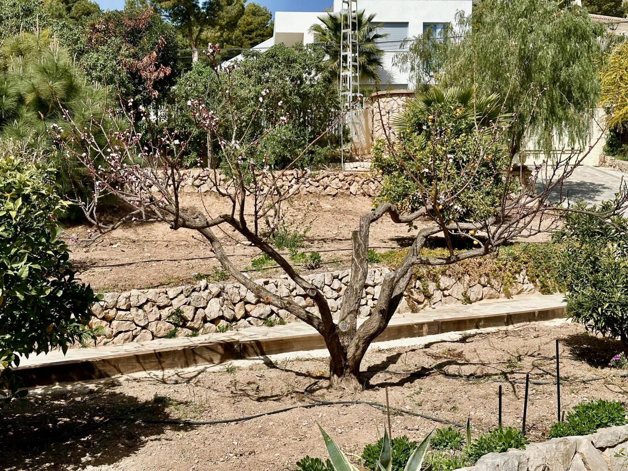 Casa Puput Altea Exterior foto